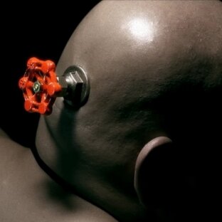 Дзен Обыватель статистика