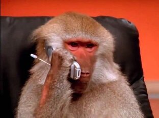 Дзен Все и сразу. статистика