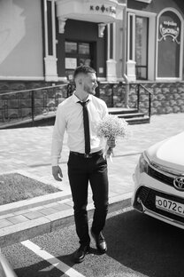 Дзен Дима Ш. статистика