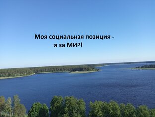 Статистика Дзен Моя социальная позиция-Я ЗА МИР!