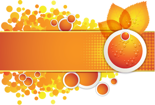 Рекомендуем посетить!