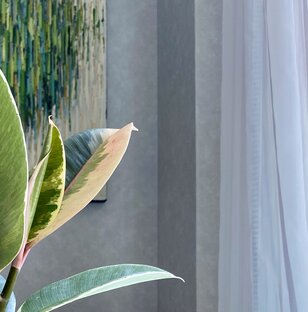 Про эстетику расположения растений 