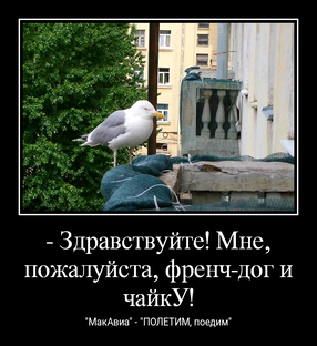 Демотиваторы: 61 - 70