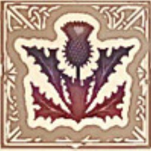 Рассказы о животных.