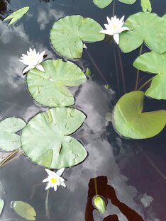 Всё из жизни!