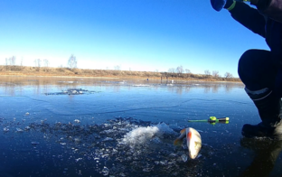 Рыбалка со льда