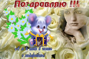 Поздравления с праздниками.