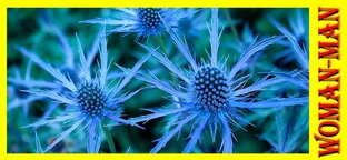 народные поверья