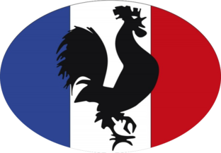 Французский язык для начинающих