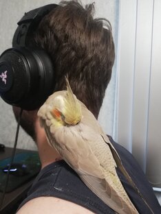 Контакт с людьми