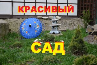 КРАСИВЫЙ САД