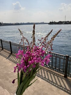 МАЛЕНЬКИЕ ПОЛЕЗНОСТИ, С БОЛЬШИМИ ПОСЛЕДСТВИЯМИ!
