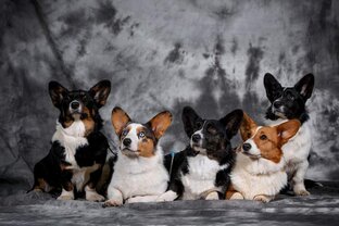 Наши производители