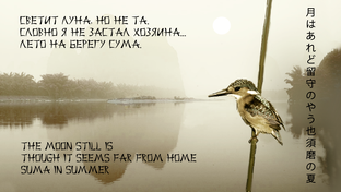 ПОМИНОВЕНИЕ...