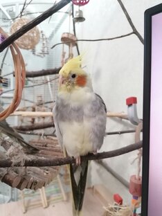 Среда и условия