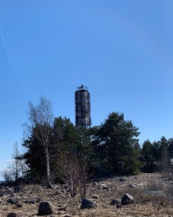 Заброшенное