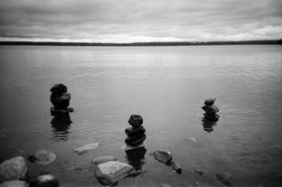 Школа жизни