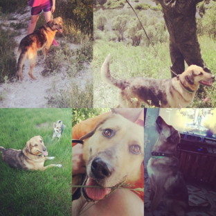 Счастливые истории