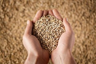 Продовольствие как геополитическое оружие