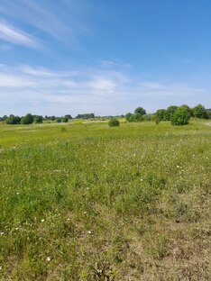 Новгородская область