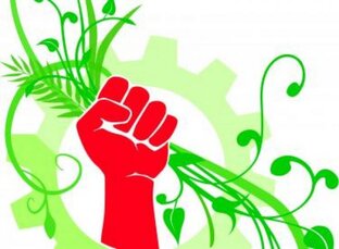 Экология и политика