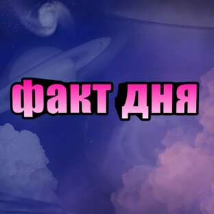 Интересные факты