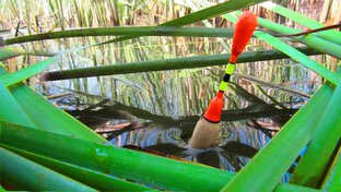 НА ПОПЛАВОК