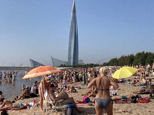 Мои любимые муыканты