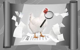 Соседская сага и Новые ограничения для ЛПХ