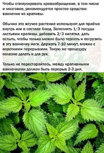 Крапива очень полезная трава