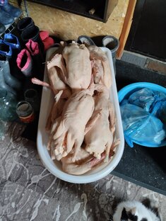 Гуси - гуси 