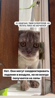 Страшная тайна