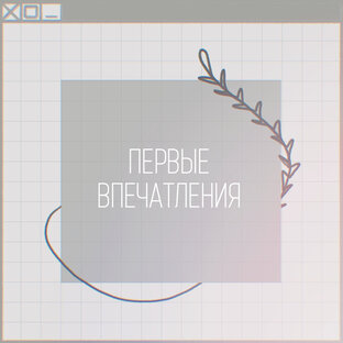 ‹первые впечатления› 