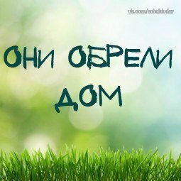 Счастливы ДОМА!