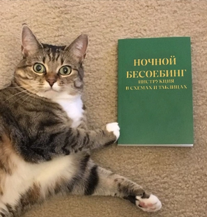 Тренировки 