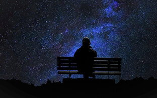 Дневник ленивого БОМЖа