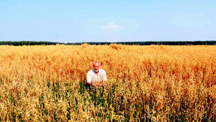 Юмор,Лирика.