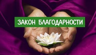 Дневник благодарности 