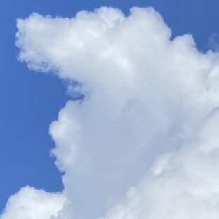 Природа лучший художник