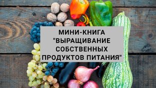 Выращивание собственных овоще дома.