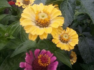 Семейные традиции