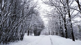 Квест "Новогоднее приключение"
