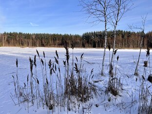 Москва и Подмосковье