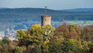 ПРОГУЛКИ и ЭКСКУРСИИ