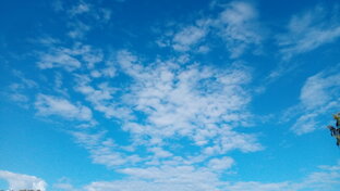 Необычные истории