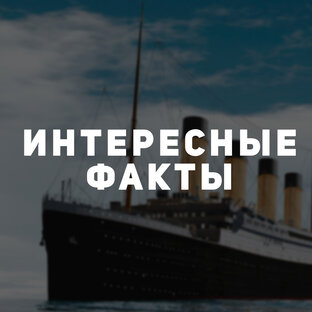 Интересные факты