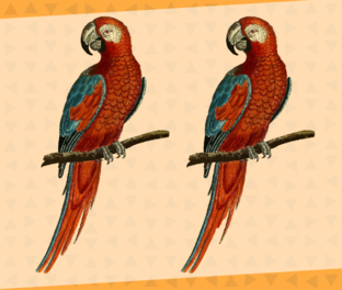 Поиск отличий