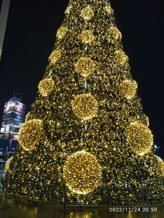 Ёлка в Грине такая 😍💓😍💓😍💓😍💓😍💓