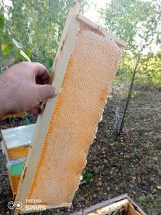 Пчеловодство