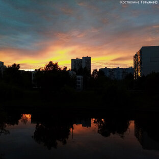 О чем этот проект